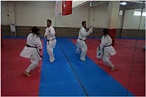 REYKAN KUMITE 030