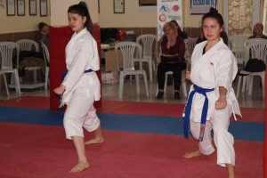 KUSAK TERFI SINAVI REYKAN 137 (Copy)