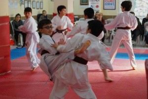 KUSAK TERFI SINAVI REYKAN 161 (Copy)