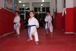 KUSAK TERFI SINAVI REYKAN 252 (Copy)