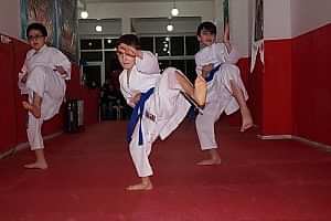 KUSAK TERFI SINAVI REYKAN 253 (Copy)