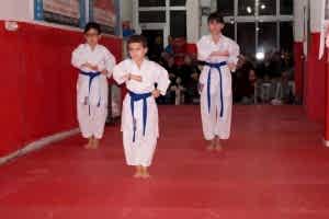 KUSAK TERFI SINAVI REYKAN 255 (Copy)