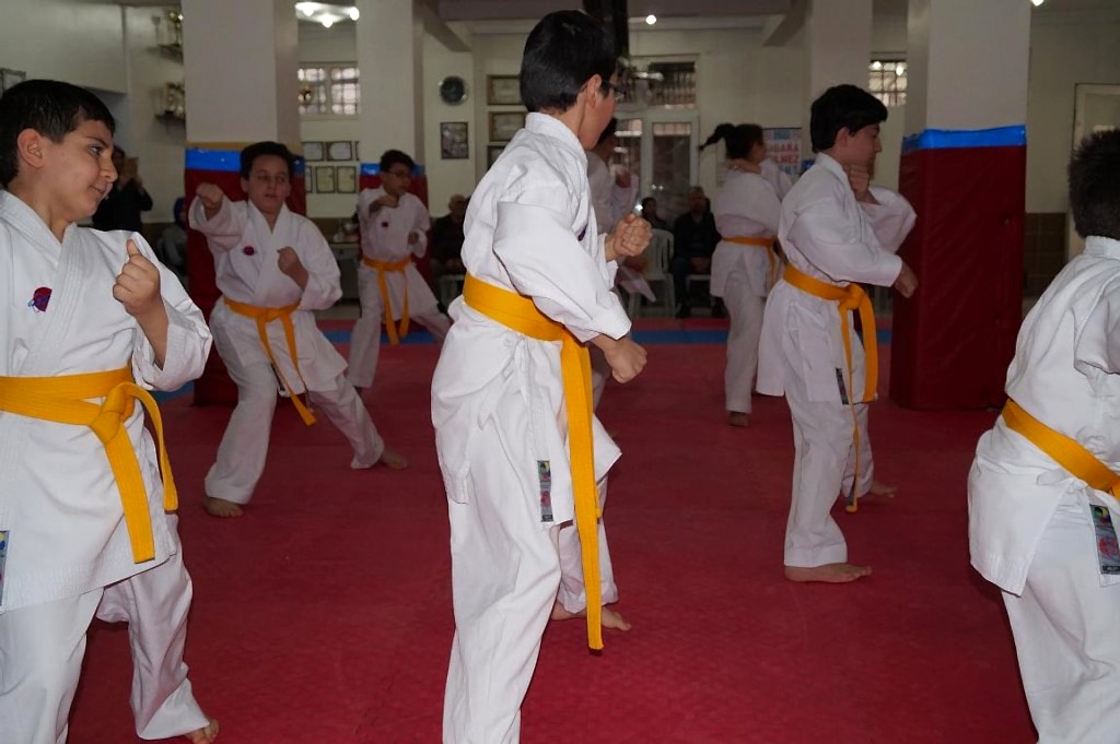 KUSAK TERFI SINAVI 2016 01 033