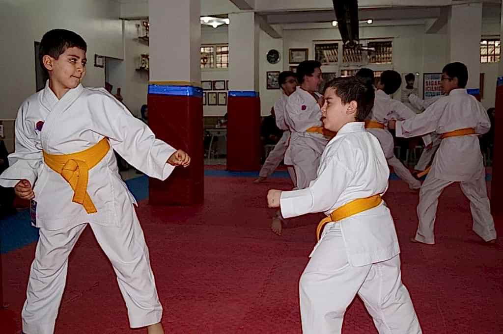 KUSAK TERFI SINAVI 2016 01 046