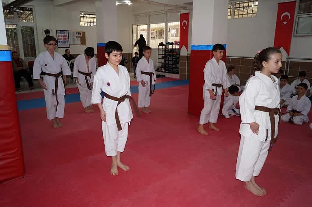 KUSAK TERFI SINAVI 2016 01 196