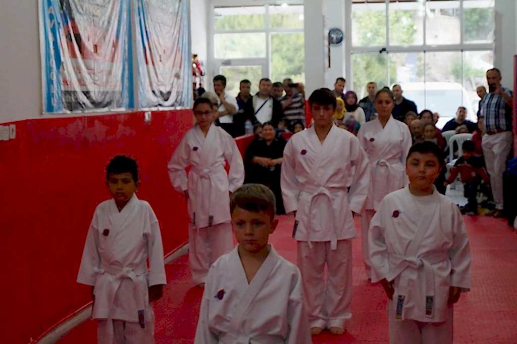 GOLGE KUSAK TERFI SINAVI 002 - Kopya