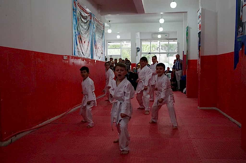 GOLGE KUSAK TERFI SINAVI 003 - Kopya