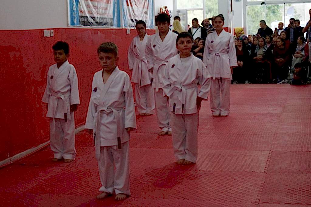 GOLGE KUSAK TERFI SINAVI 004 - Kopya