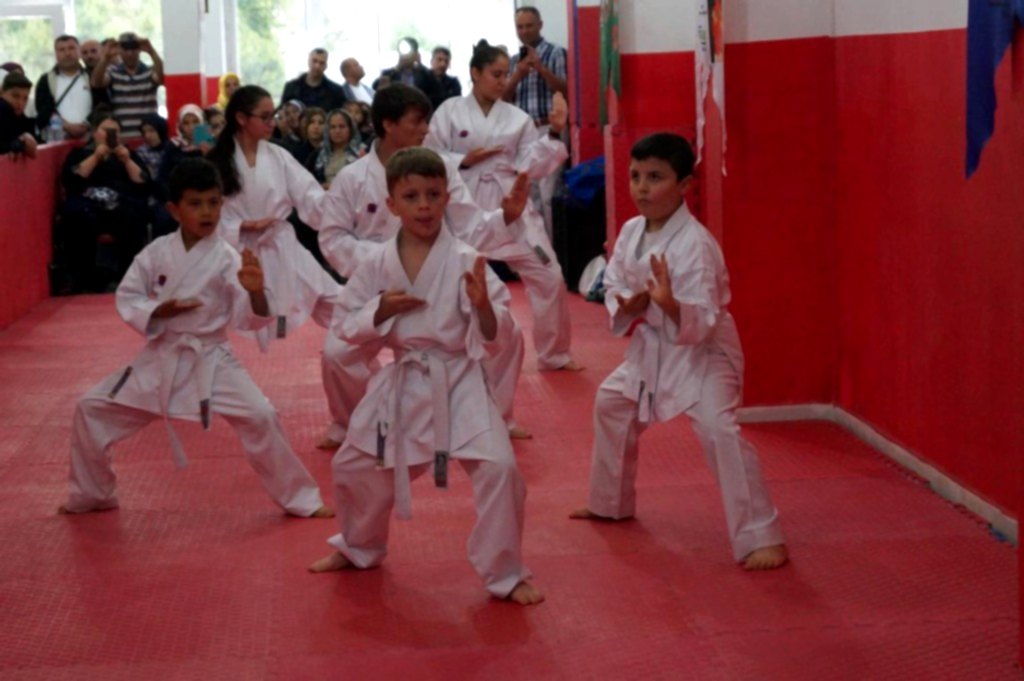 GOLGE KUSAK TERFI SINAVI 006 - Kopya