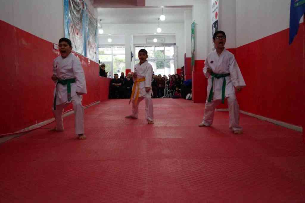 GOLGE KUSAK TERFI SINAVI 010 - Kopya