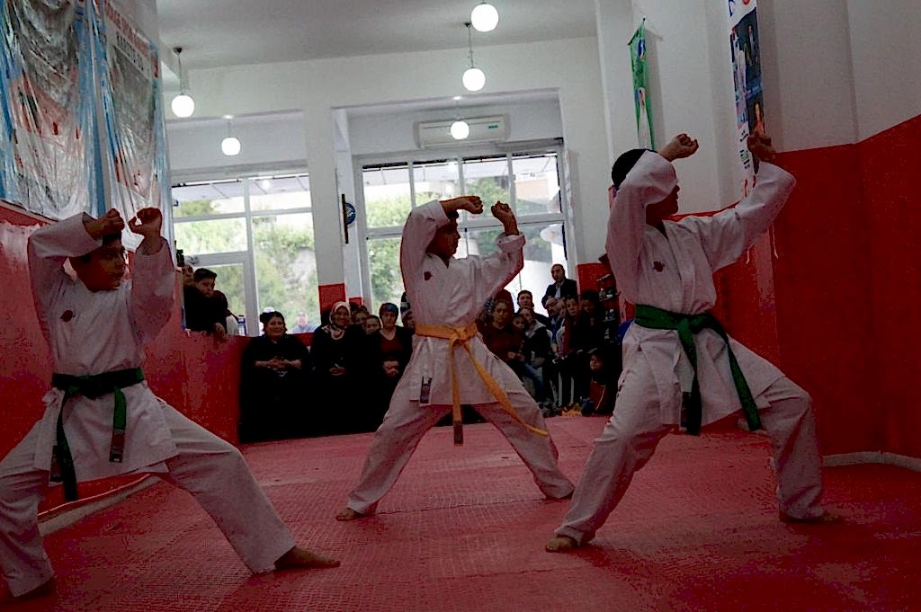 GOLGE KUSAK TERFI SINAVI 011 - Kopya