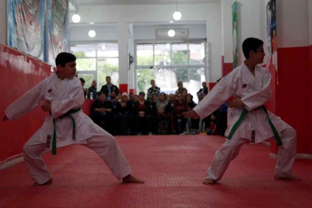 GOLGE KUSAK TERFI SINAVI 013 - Kopya