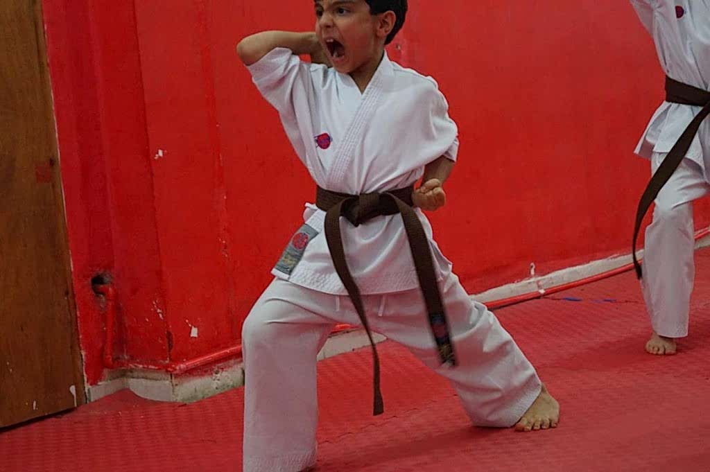 GOLGE KUSAK TERFI SINAVI 022 - Kopya