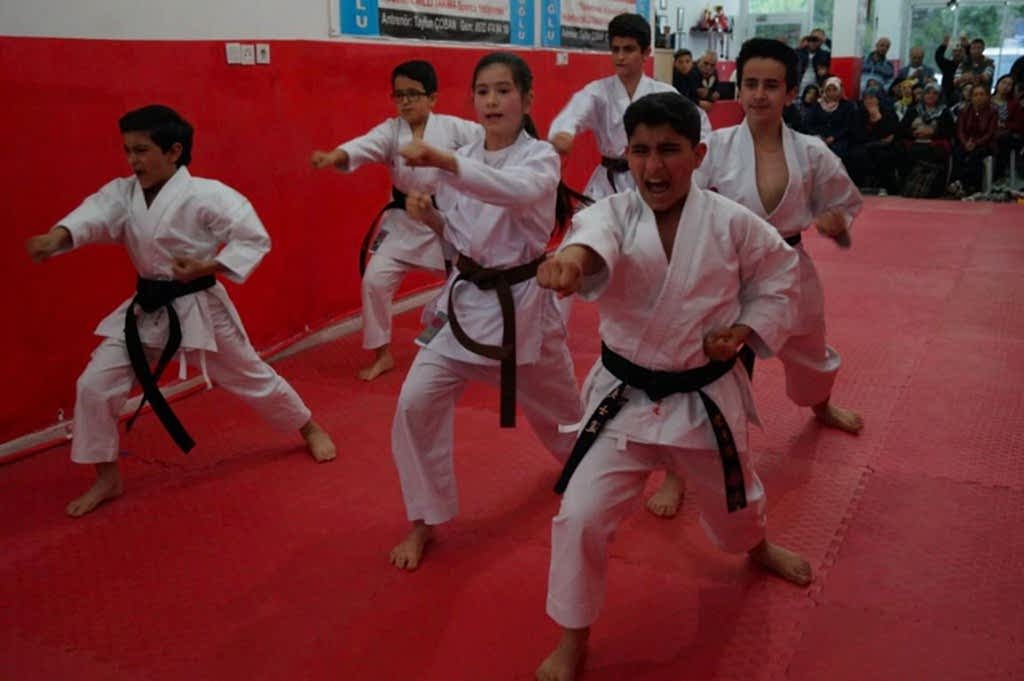 GOLGE KUSAK TERFI SINAVI 029 - Kopya