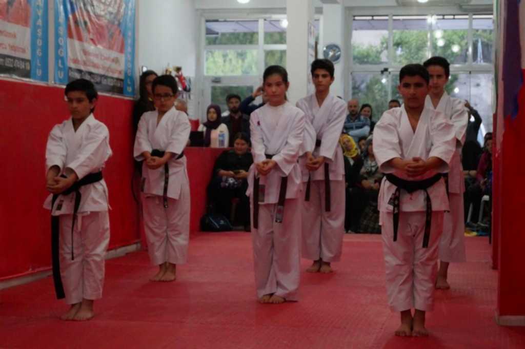 GOLGE KUSAK TERFI SINAVI 030 - Kopya